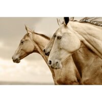 Mint by Michelle Reverse Sephia Horse