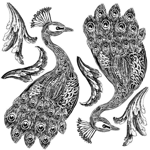 IOD Decor Pavo
