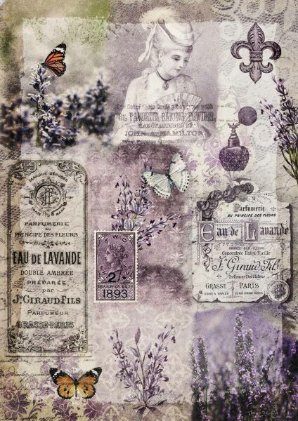 Old Lace and Lavender A4