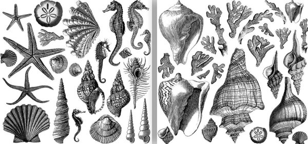 IOD Decor Stempel Seashore